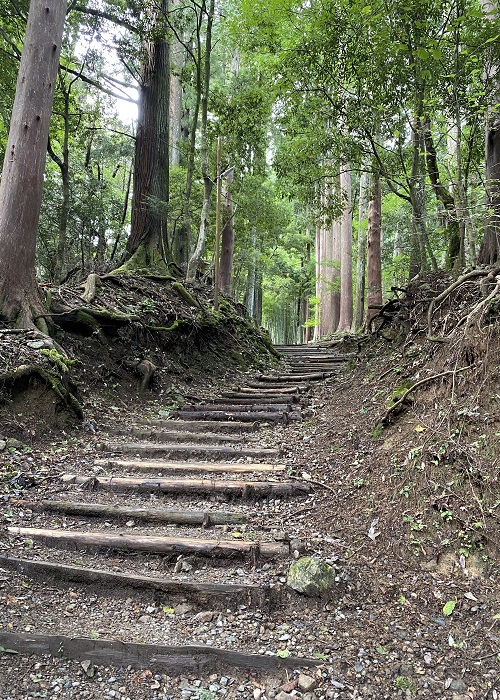 階段の登山道