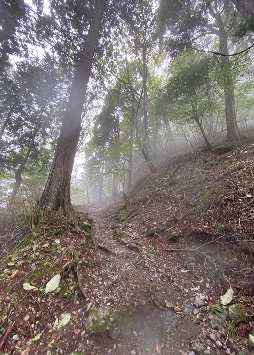 土の轍の登山道