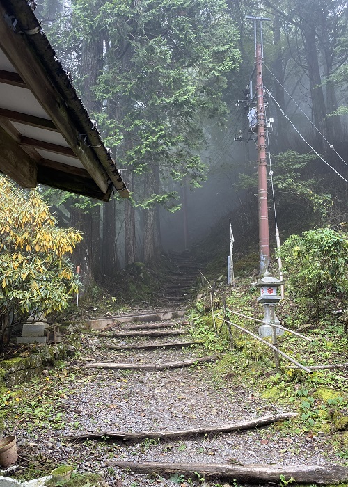 霧深い登山道