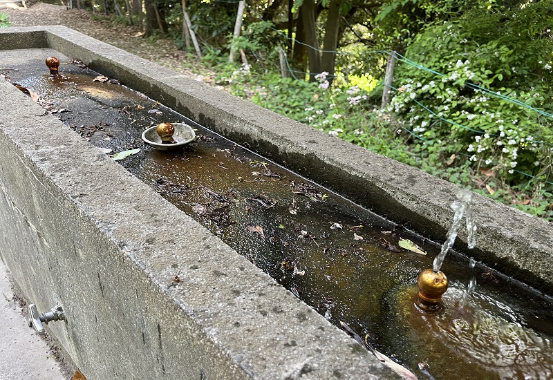 立形水飲水栓から勢いよく水が出ている様子