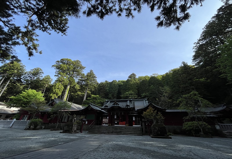 早朝の静けさが残る箱根神社本殿