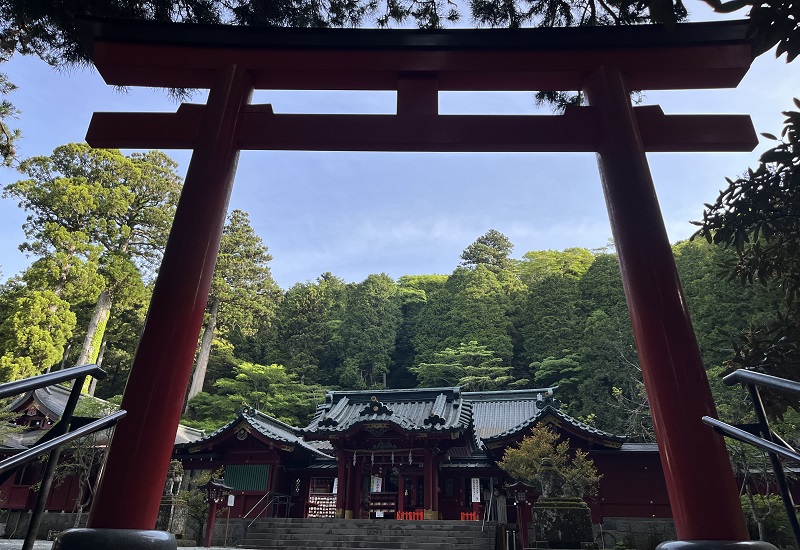 第五鳥居の奥に見えるのは箱根神社本殿