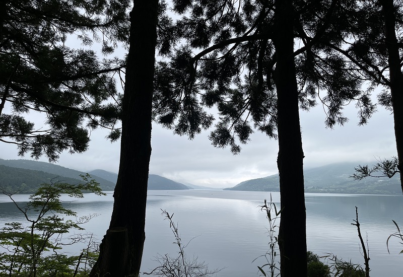 木の隙間から見える芦ノ湖