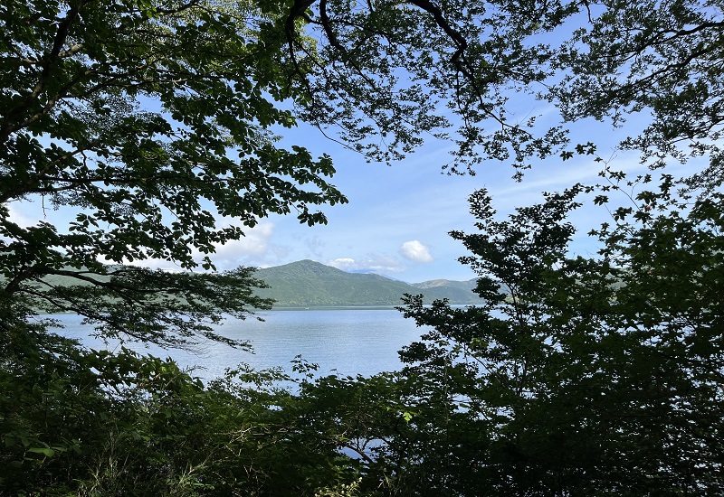 湖畔路から覗く、富士山