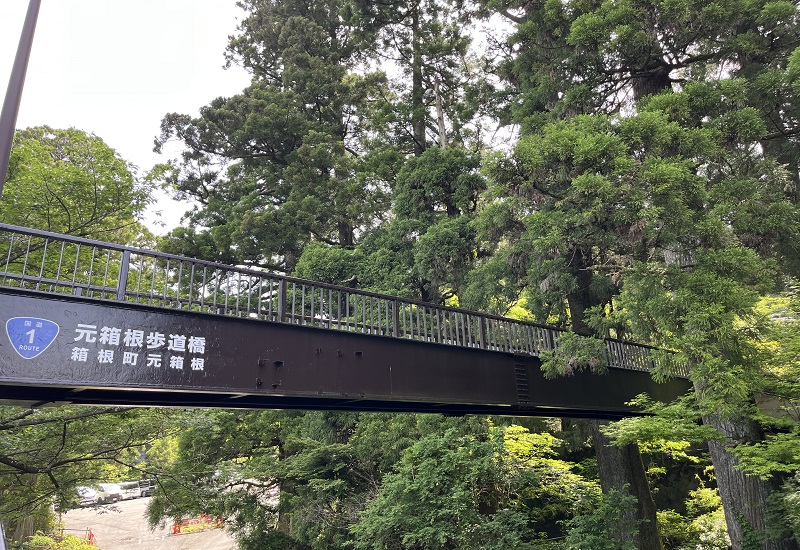 鉄筋造りの元箱根歩道橋