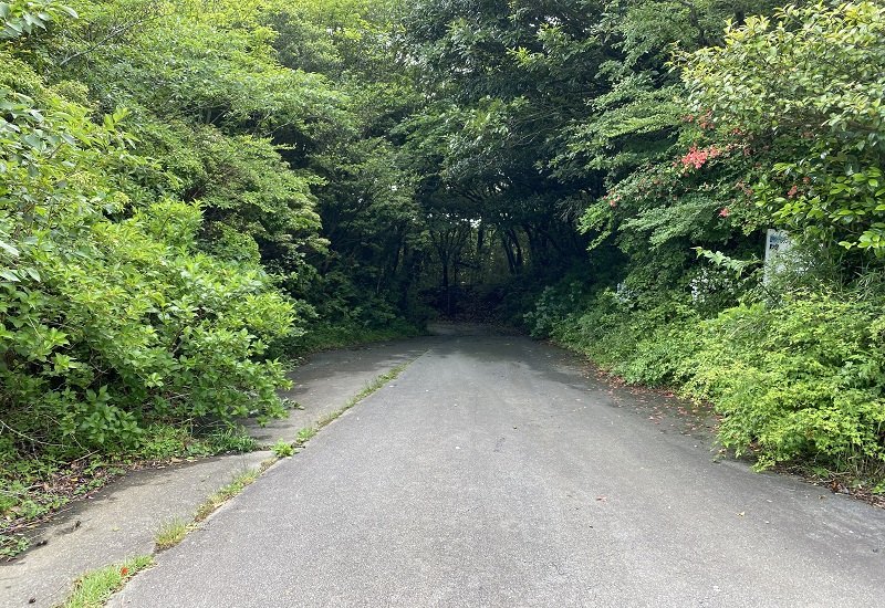 日金山東光寺へと続く道