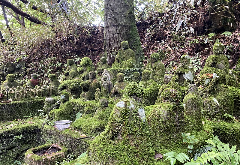 苔むしている仏像