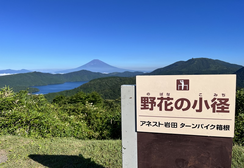 野花の小径と富士山