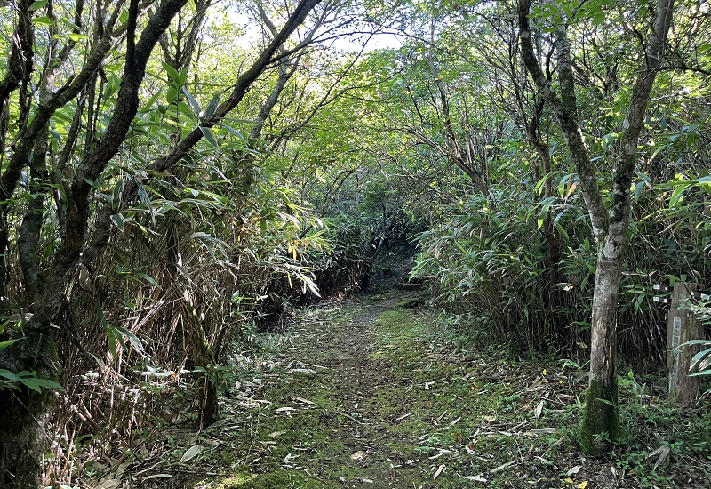 野花の小径の散策路