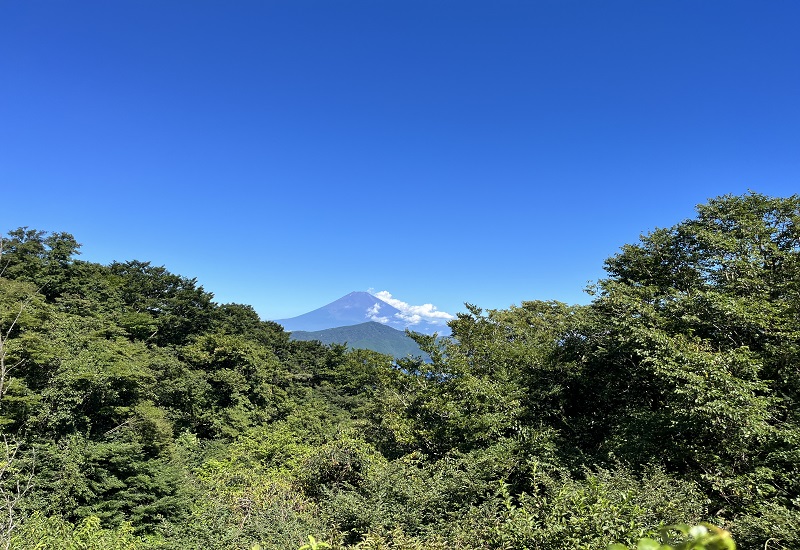 遠くに見える富士山