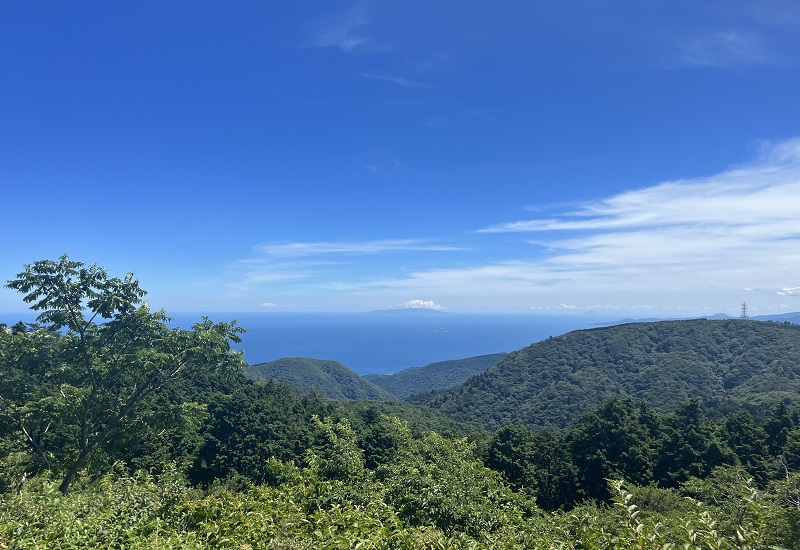 海と山の景色