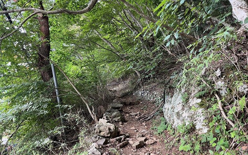 パノラマ台へと続く登山道