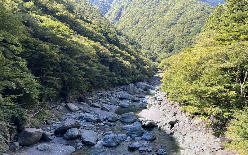 ゴロゴロした岩がある早川渓谷