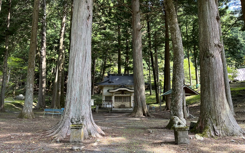 杉林から覗く奈良法王神社