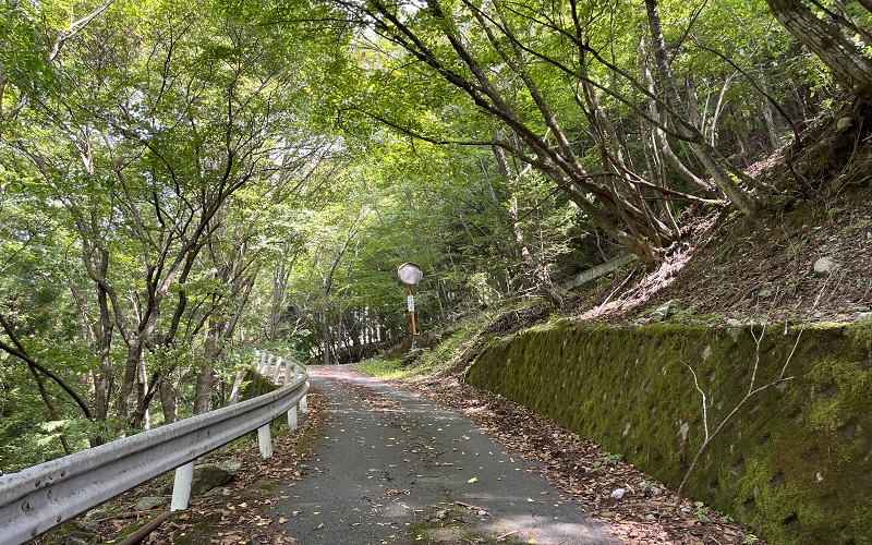 奈良田の里内の轍道