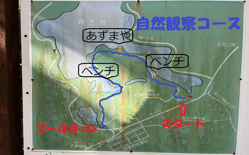 精進湖自然観察コース