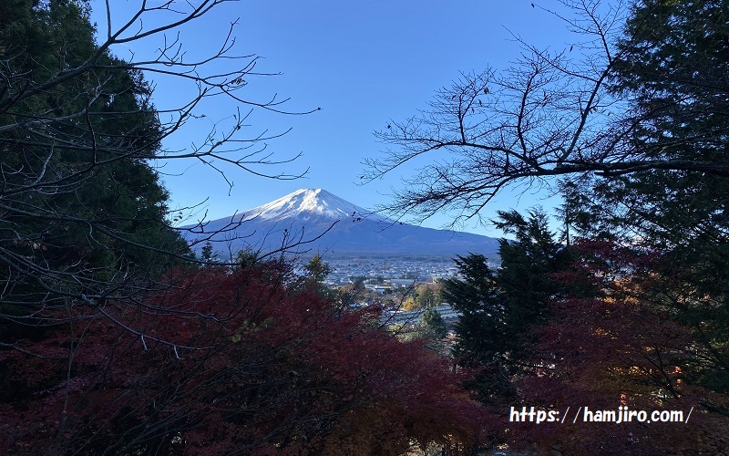 咲くや姫階段から見える富士山
