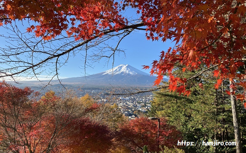 紅葉の額縁で富士山を彩