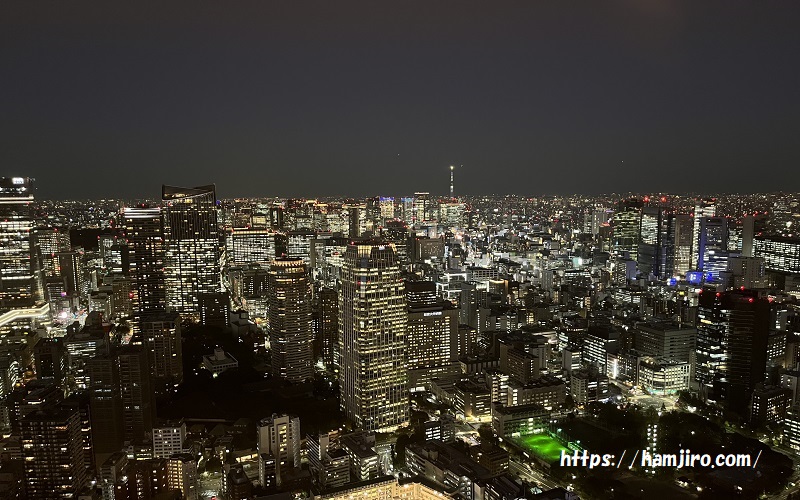 東京スカイツリー方面の夜景