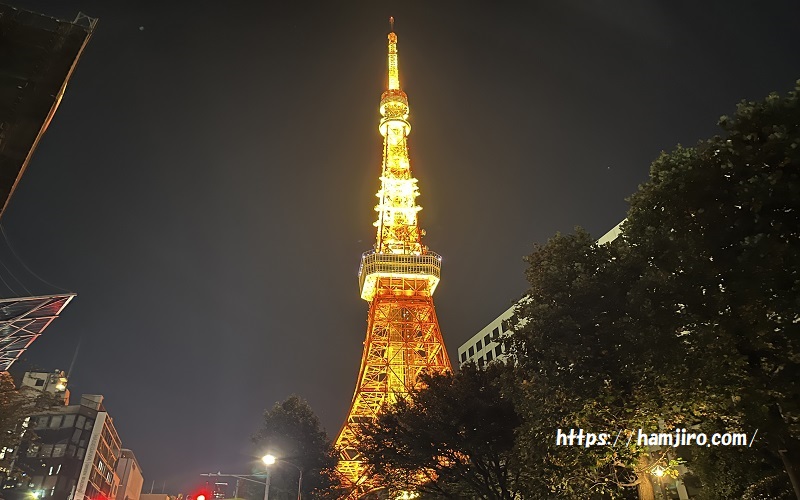 永井坂から見る東京タワー夜景