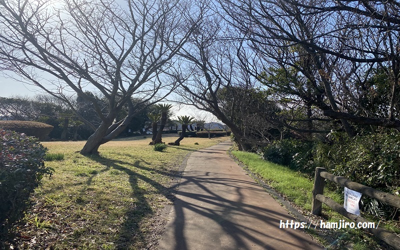 大崎公園内にあるきれいに舗装された遊歩道
