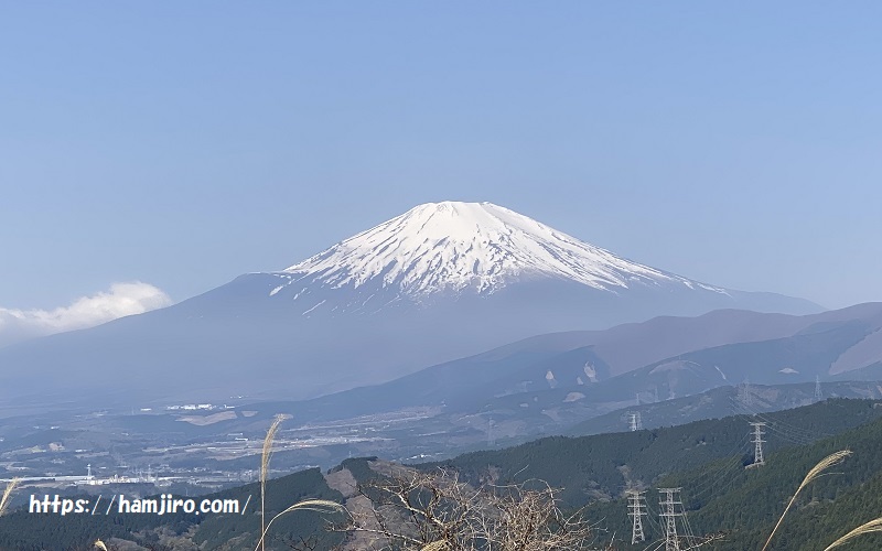 大野山富士見百景の冠雪富士山