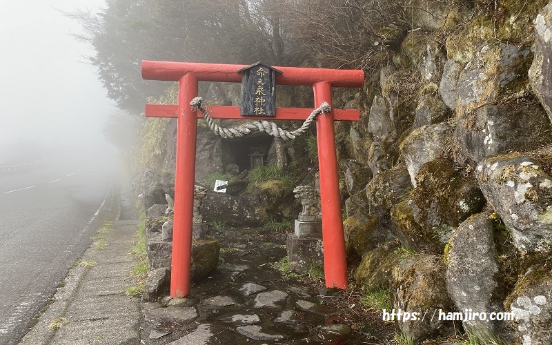 霧かがった朱色の鳥居の神社