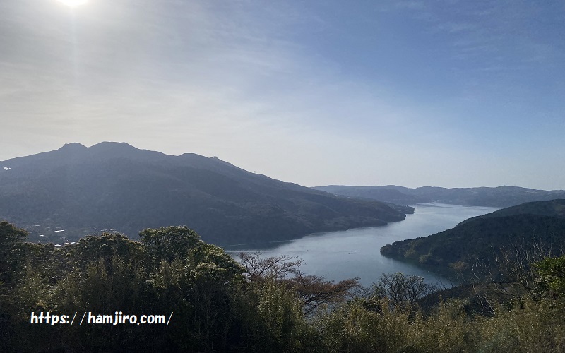 高所から見える細長い芦ノ湖