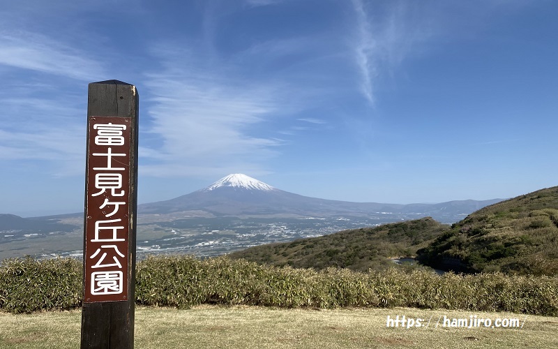富士見ヶ丘公園からの富士の眺望
