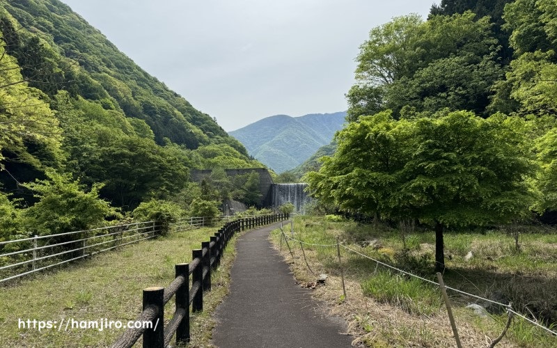 ほたる自然発生場所の見学通路