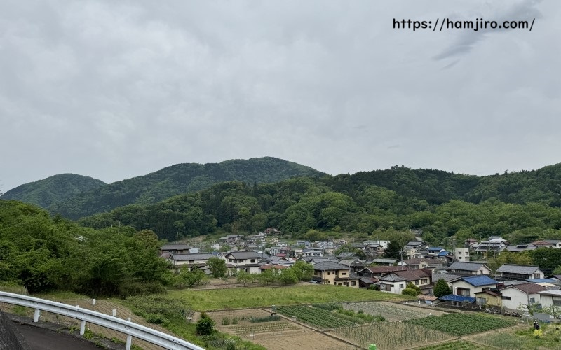 丘から見える下部の街並み