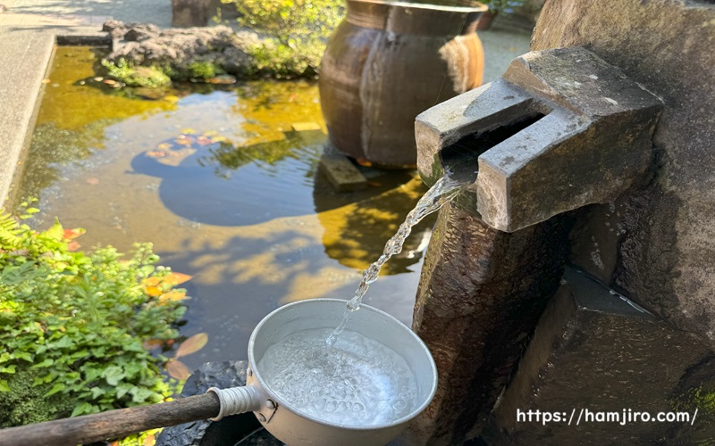 石碑から流れている柿田川湧水