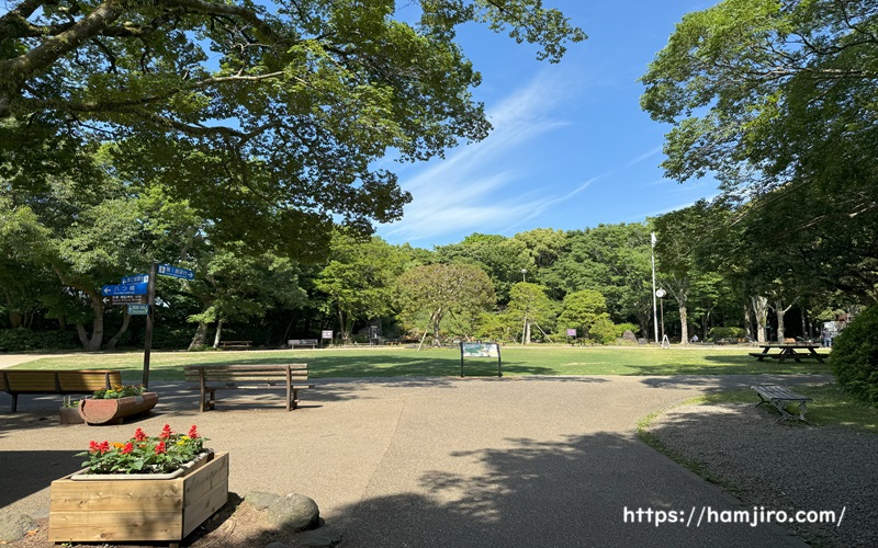 緑の芝生がきれいな柿田川公園