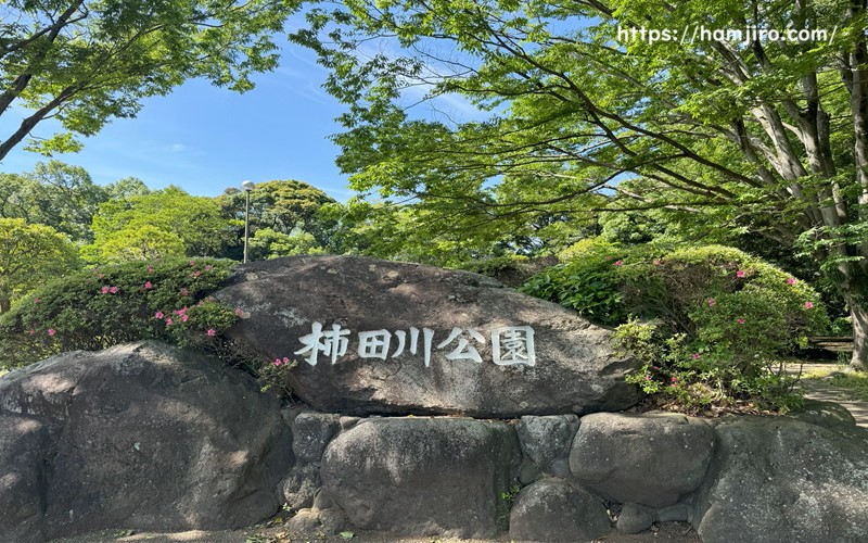 ゴツゴツした岩で出来ている柿田川公園石碑