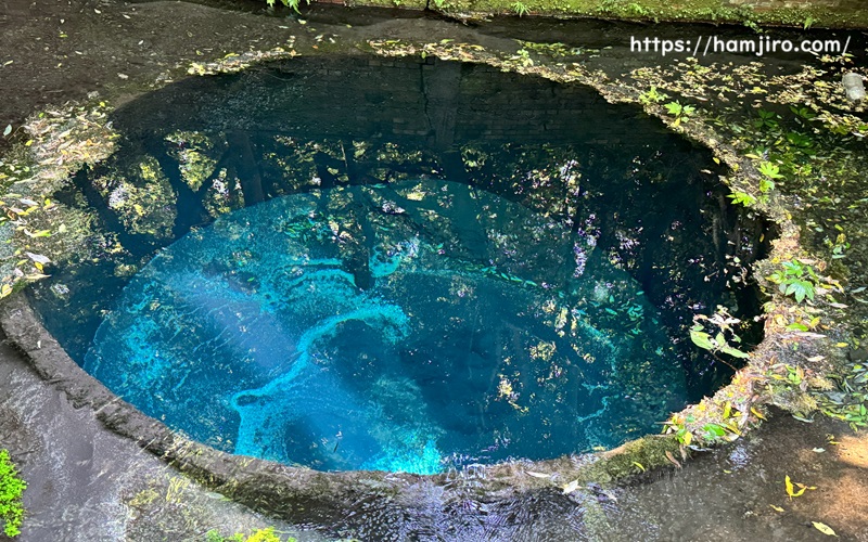 日の光の加減で見える碧く澄んだ井戸跡の湧水