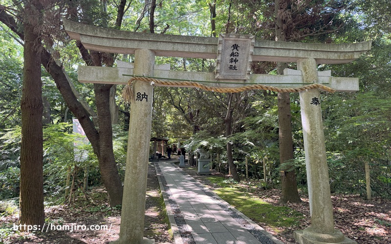 石造りの鳥居と参道