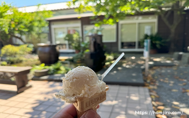 丸いクリーム色のとうふアイスクリーム