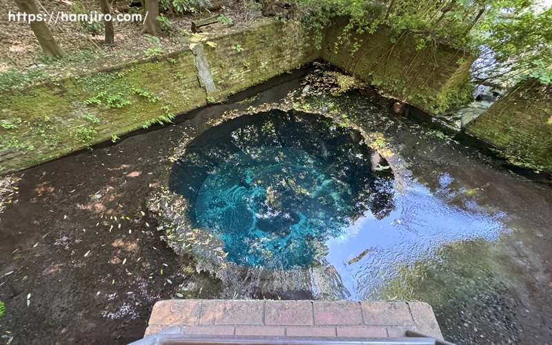 碧く澄んだ井戸跡から湧水が出ている様子