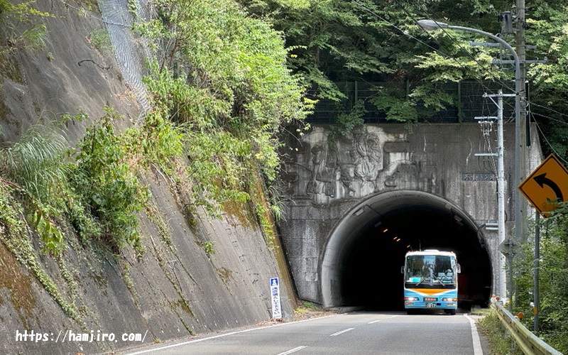 トンネルを抜ける水色の閑蔵線バス