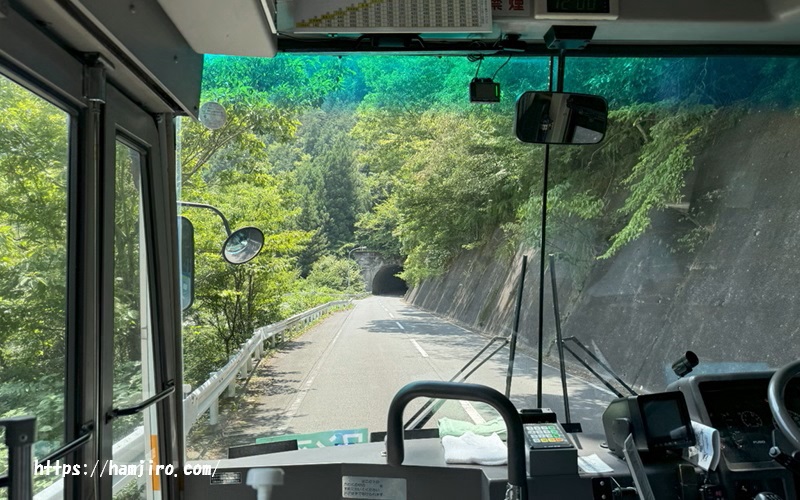 バス車内から見える県道388号接岨峡線