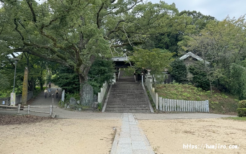 東雲神社境内
