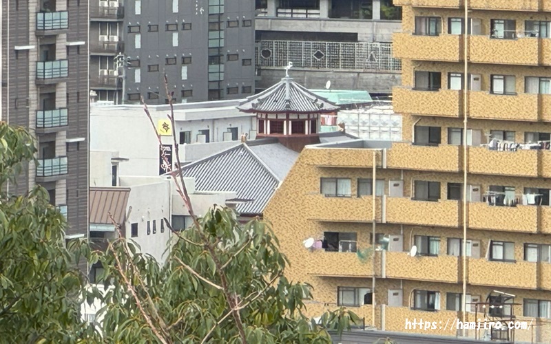中央に見える道後温泉飛鳥乃湯の塔屋
