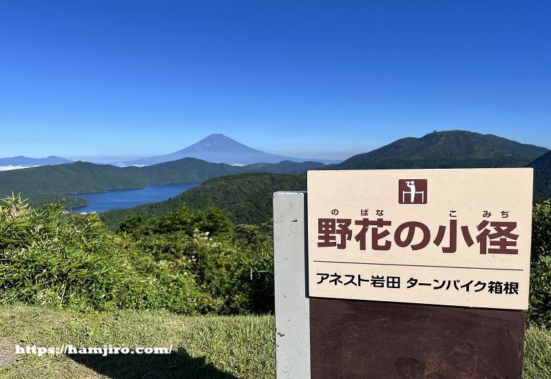 野花の小径から見える富士山