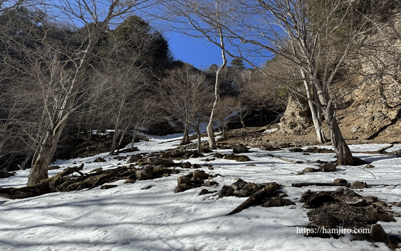 落石注意箇所の斜面