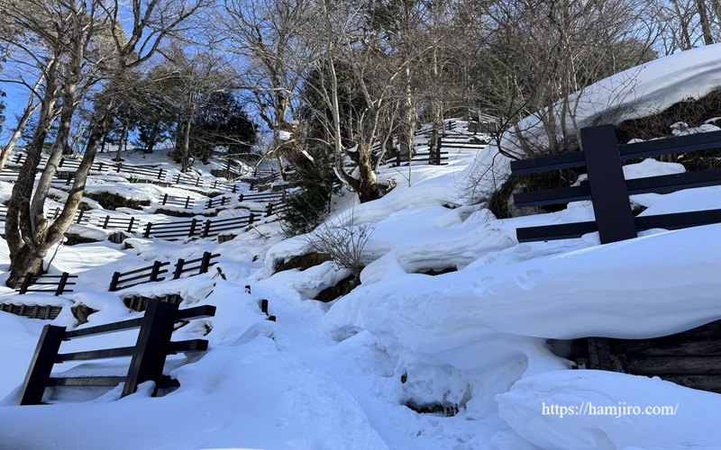 急勾配の雪深い斜面