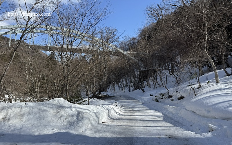 雪道の林道