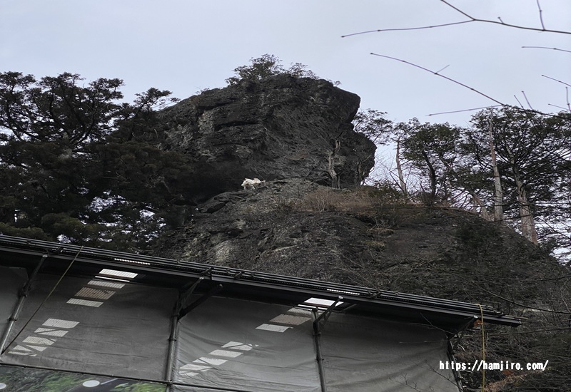 本社の背後にある御姿岩