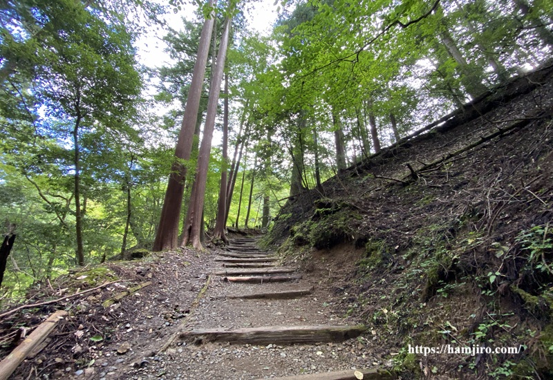 木階段の登山道