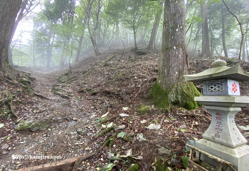 土の登山道
