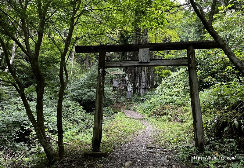 異世界の入口の様な奥の院の鳥居